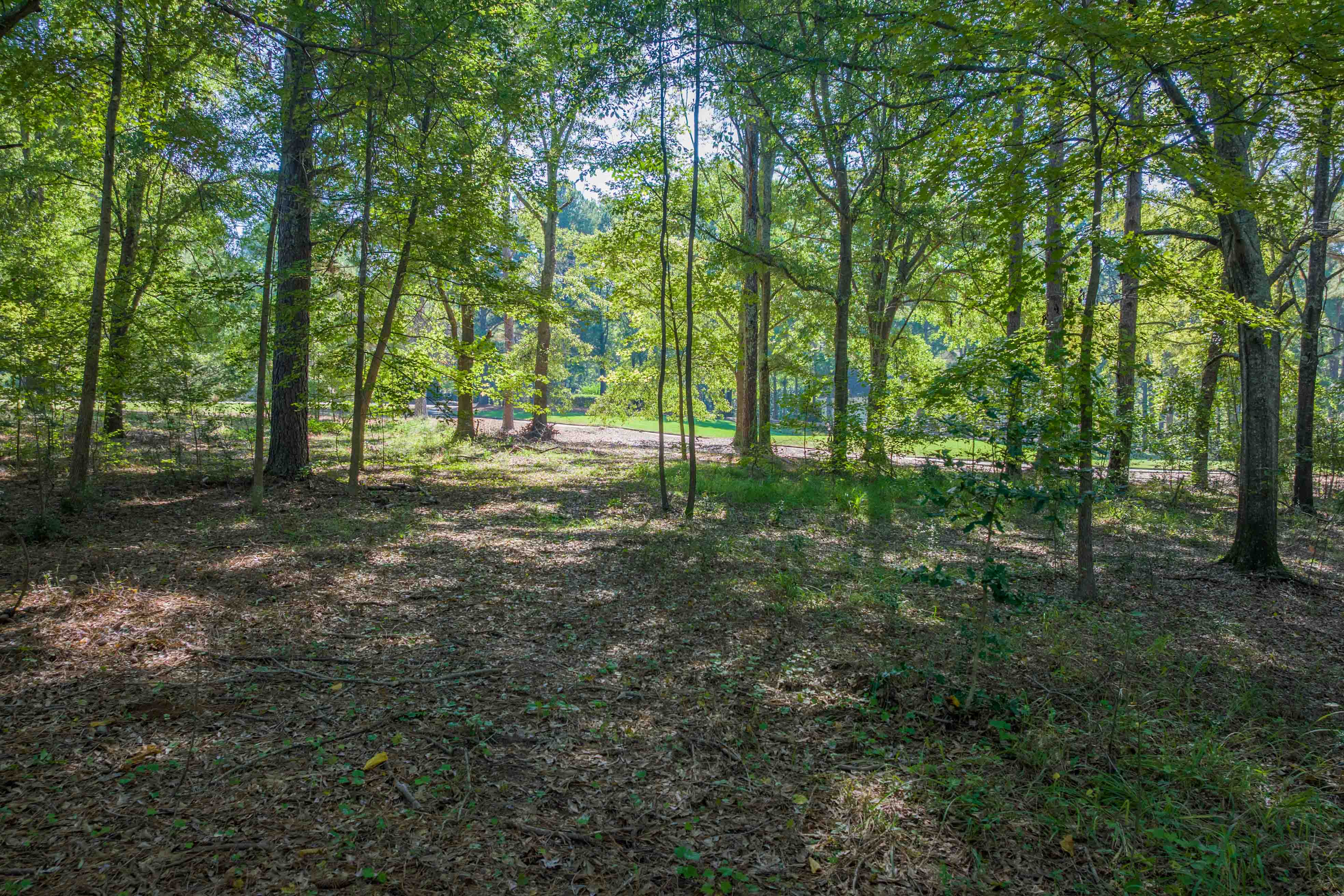 236 Broadlands Drive image 7